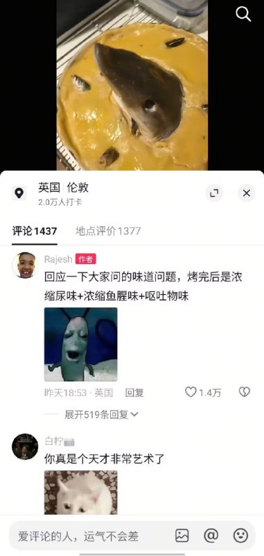 鲨鱼仰望星空派？👀鲨鱼仰望星空派？👀