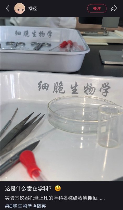 有多脆？🤔