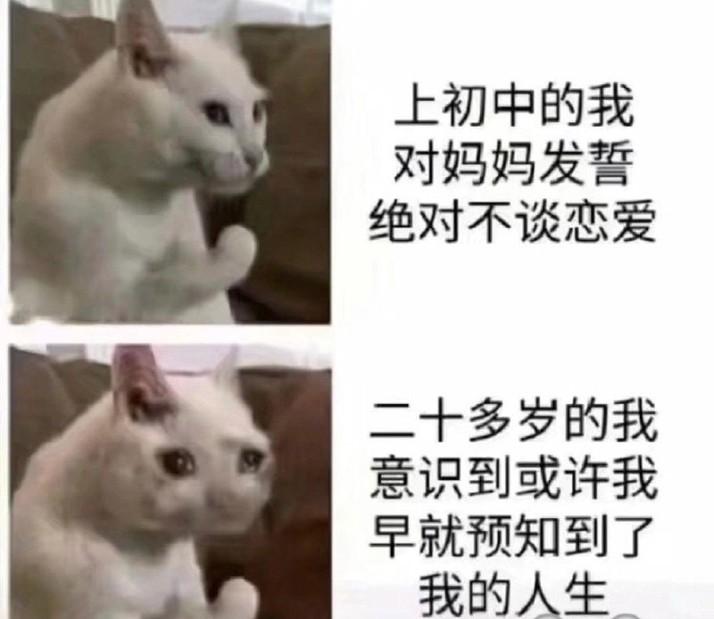 😢
