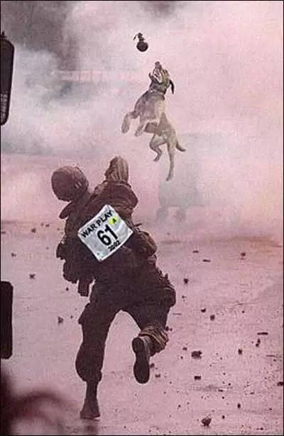 😅