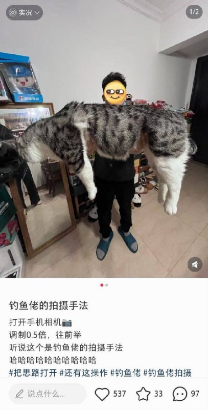 钓鱼佬拍摄手法😦