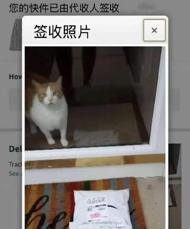 干嘛