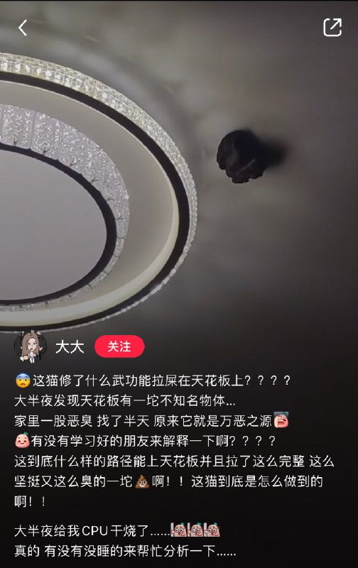 ？