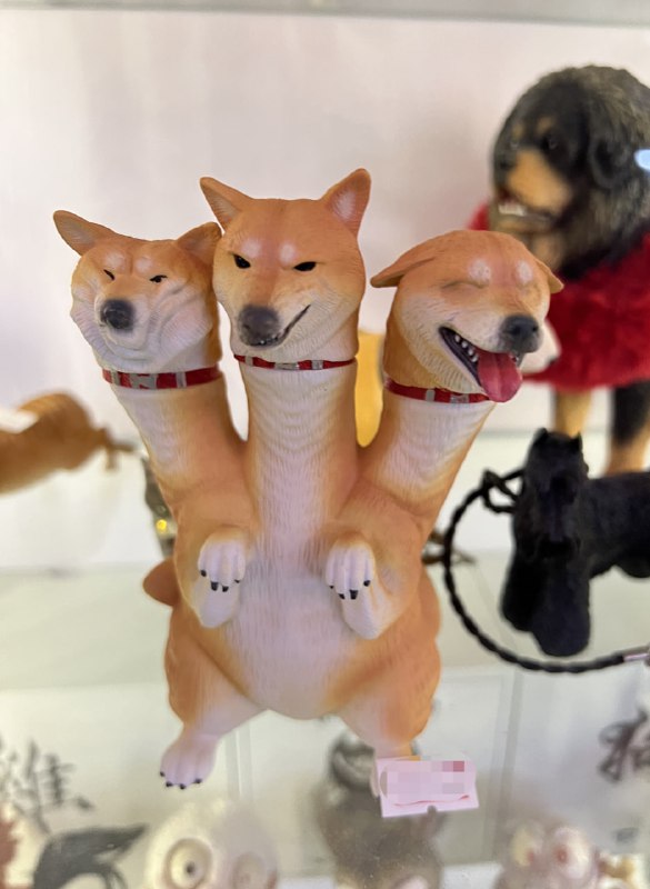 地狱三头柴？柴多拉？🤔