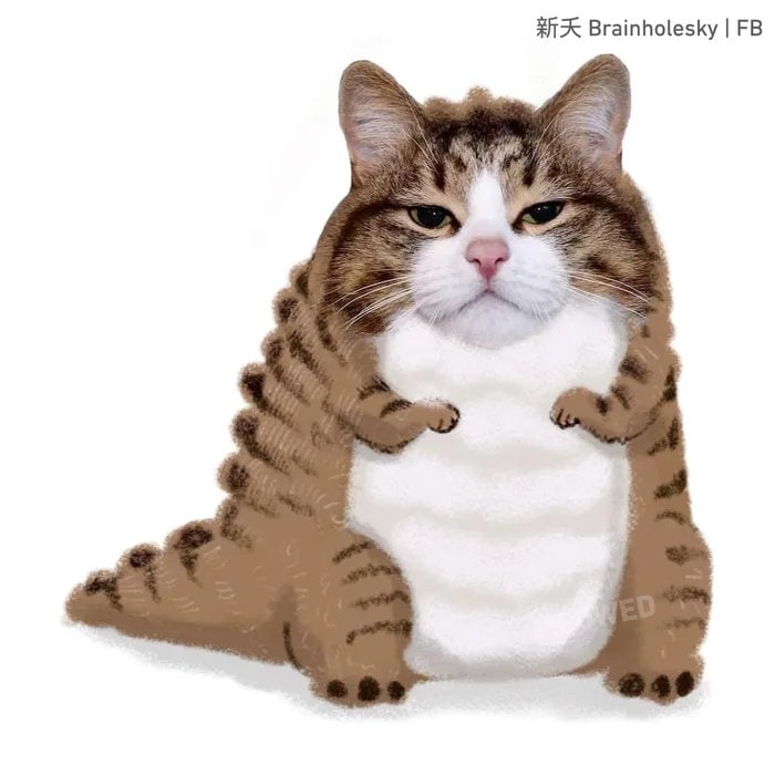 “给这个猫猫头画个身体”#猫猫“给这个猫猫头画个身体”#猫猫