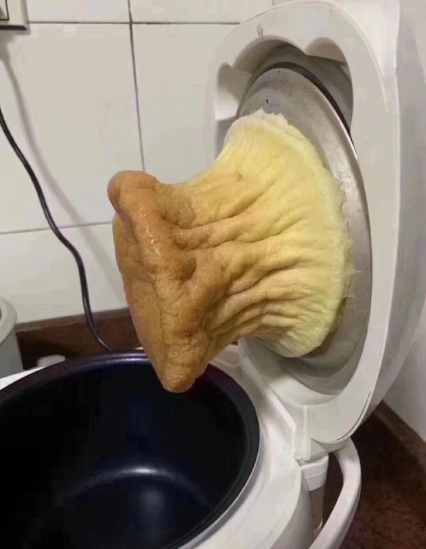 跟着网上学着用电饭煲做蛋糕，这算成功了吗    🤔
