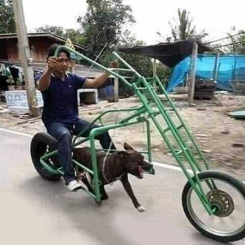 新能源摩托车