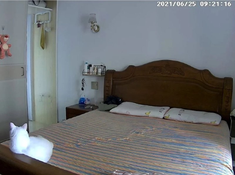 哈哈哈哈哈哈已经很努力克制自己了哈哈哈哈哈哈已经很努力克制自己了