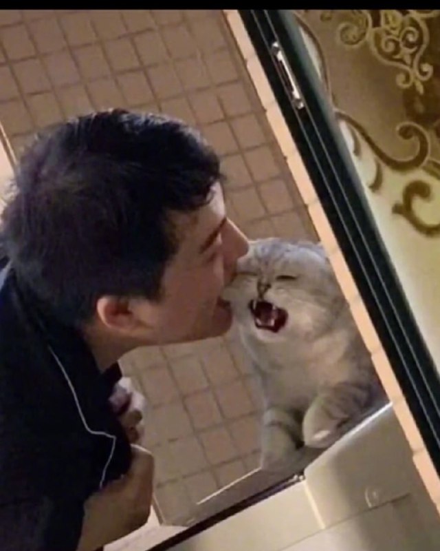 撸猫的最高境界