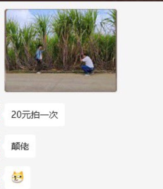 补充补充
