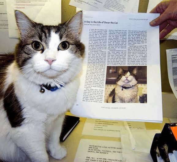 #猫猫“死亡鉴定师”一只叫 Oscar 的猫咪，具有一种神奇的能力