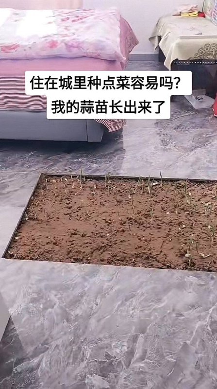🤔️🤔️