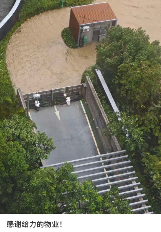 😧