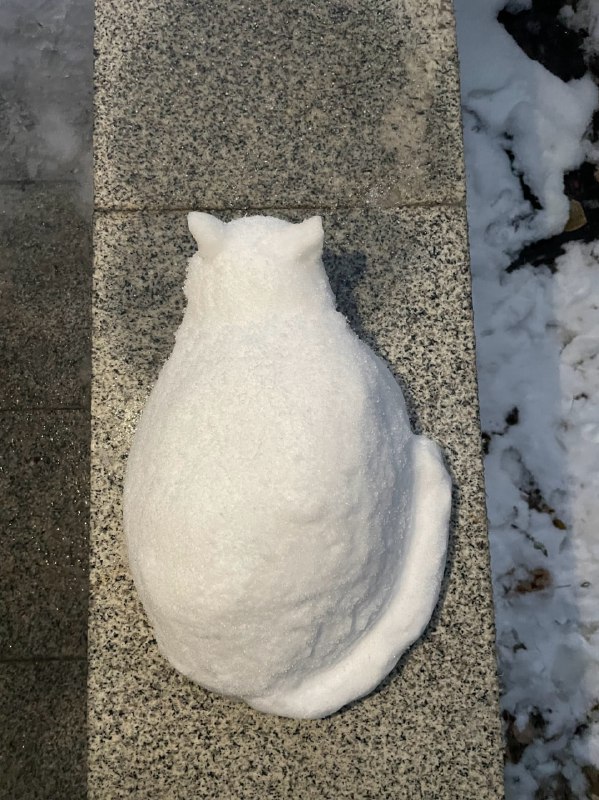 #猫猫 ⛄️#猫猫 ⛄️