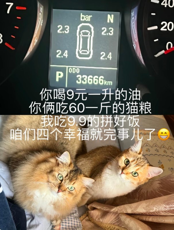 😅