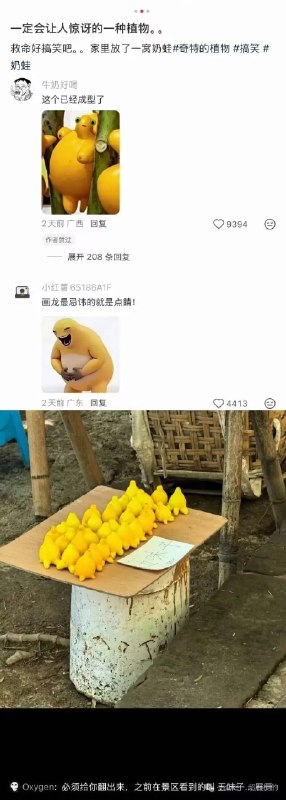 什么奶龙果😮什么奶龙果😮