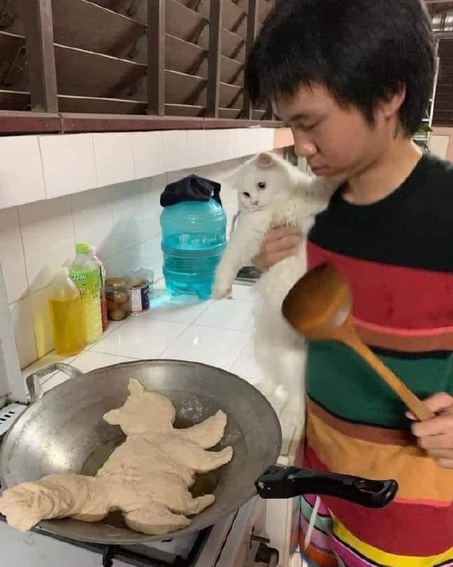 #猫猫