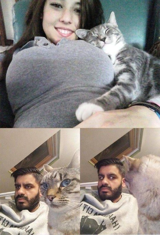 #猫猫