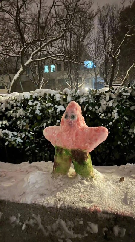 雪人⛄️雪人⛄️