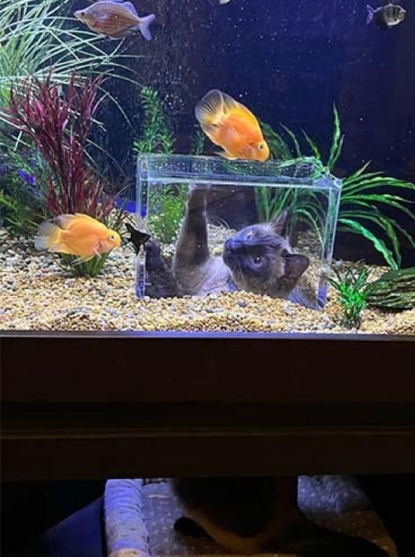 沉浸式体验