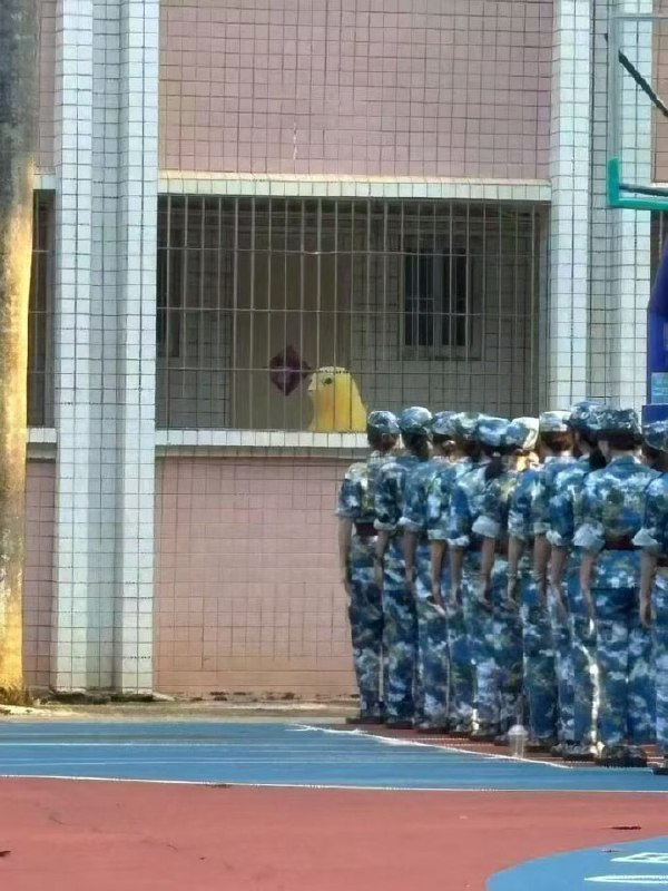 这谁绷得住啊……😅这谁绷得住啊……😅