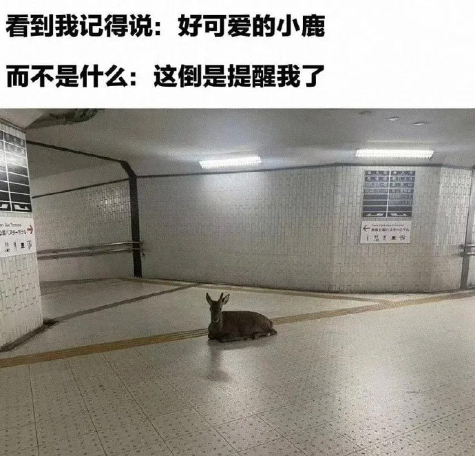 😑