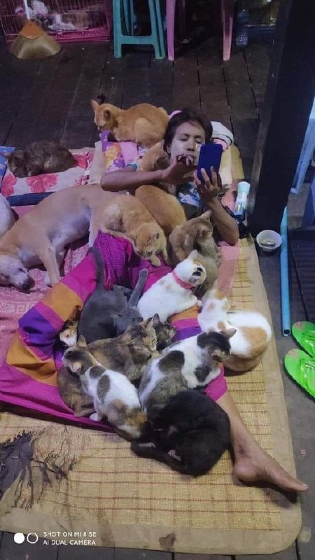 #猫猫 #狗狗