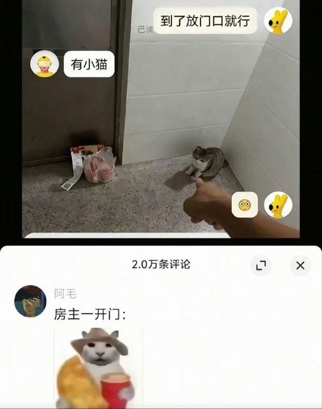 干嘛