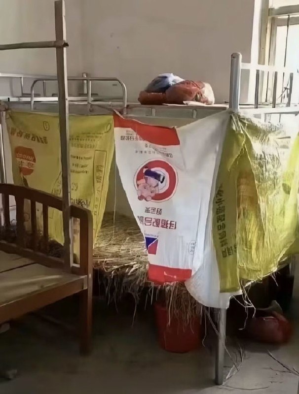 开学季陋室铭合集😅开学季陋室铭合集😅