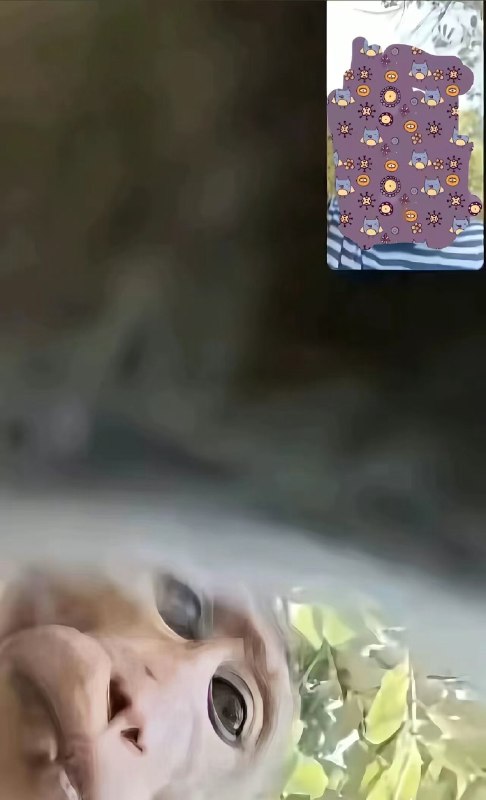 😦😦
