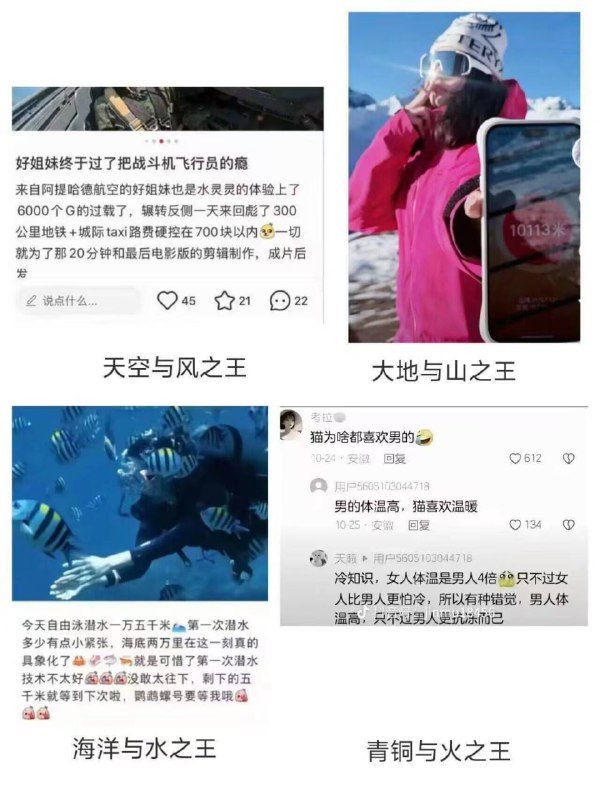 回顾2025群贤毕至