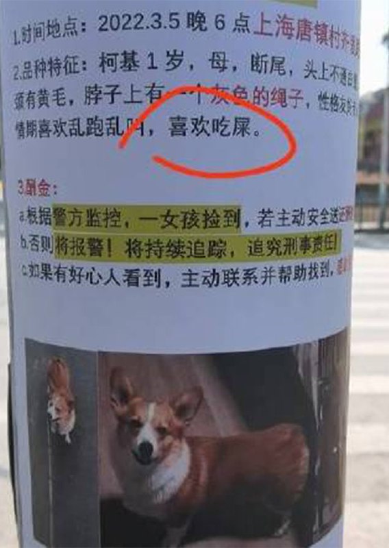 狗子