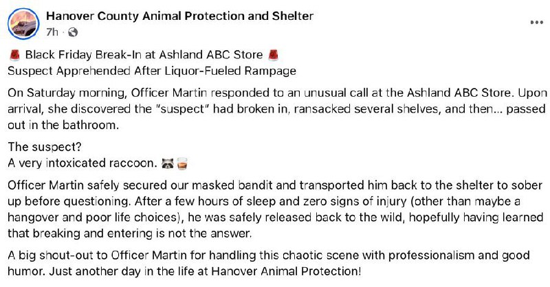 黑五夜“疯狂动物城”