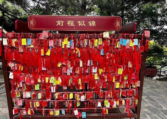 婚育下降可视化🤔️婚育下降可视化🤔️