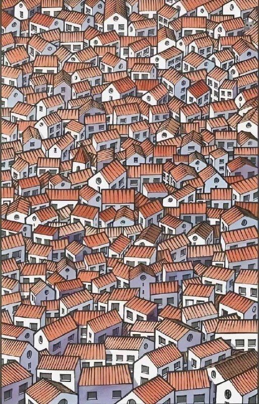 #猫猫 在哪里