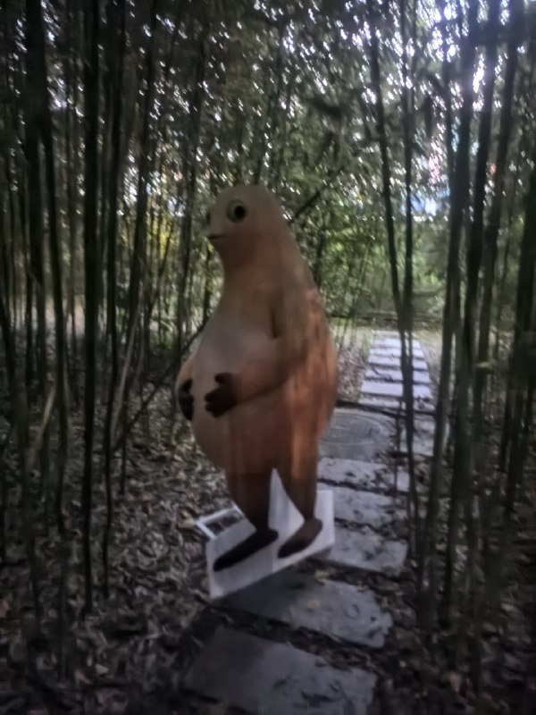 什么神人学校😅什么神人学校😅