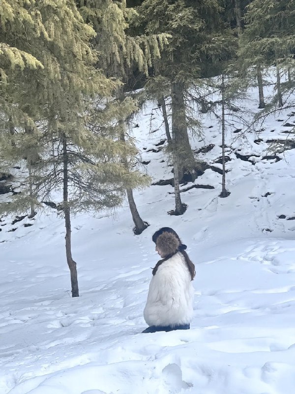 摄影天才😅摄影天才😅