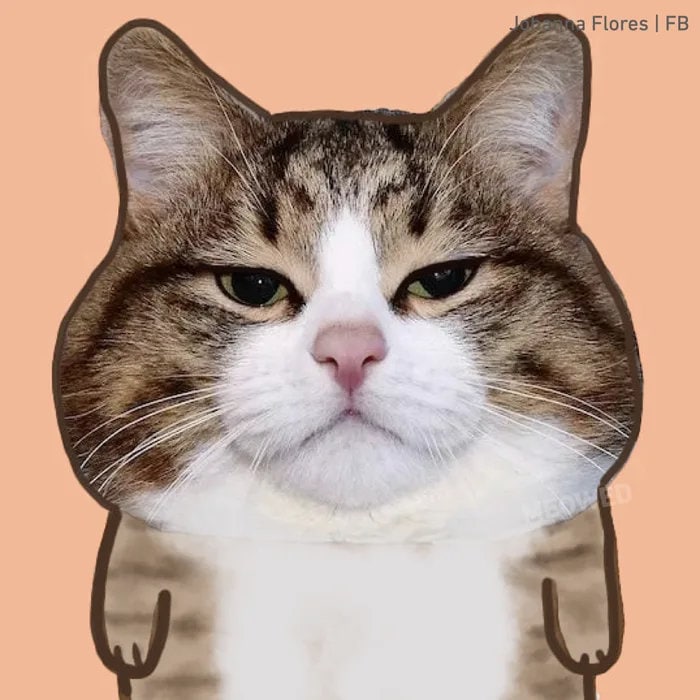 “给这个猫猫头画个身体”#猫猫“给这个猫猫头画个身体”#猫猫