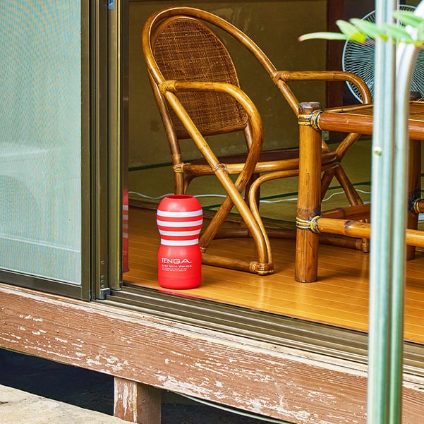 TENGA × Earth制药 联合推出驱虫产品，售价 3,480 日元
