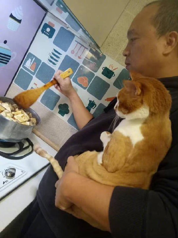 主人每次煮饭猫就吵着要看，于是主人就这样抱着，煮给它看.....主人每次煮饭猫就吵着要看，于是主人就这样抱着，煮给它看.....
