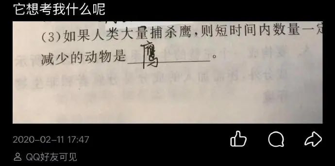 没毛病