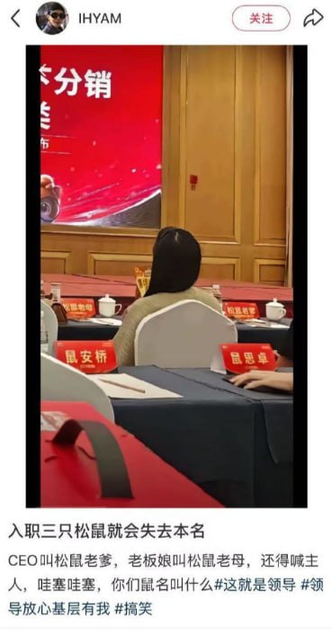 进老鼠窝了这是，邋遢大王历险记😦进老鼠窝了这是，邋遢大王历险记😦