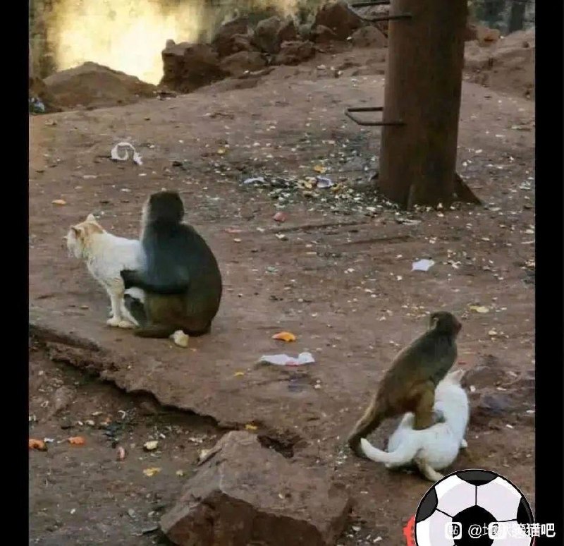 #投稿 by DICE- Official 𝕏#投稿 by DICE- Official 𝕏