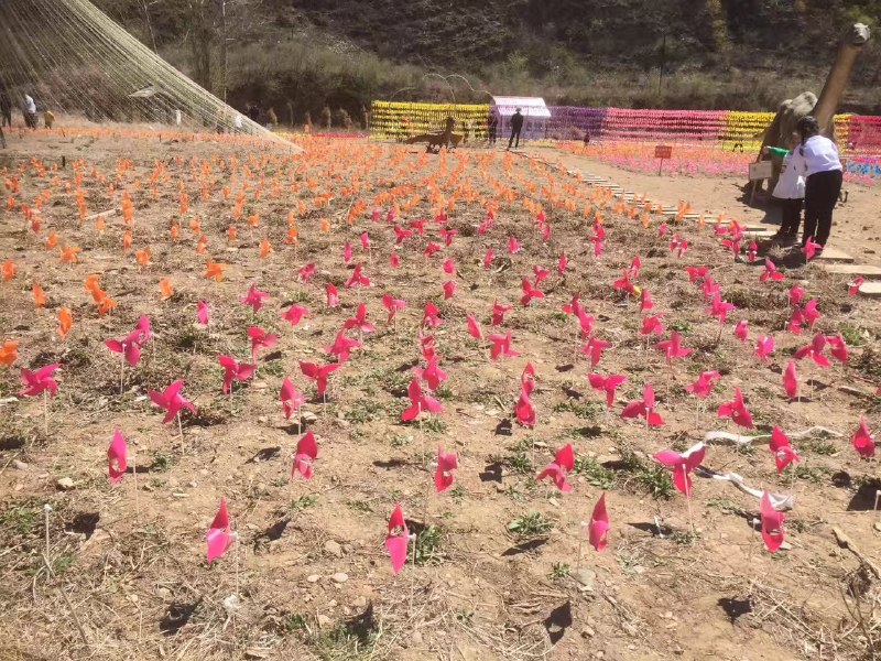 确实有风车……确实有风车……