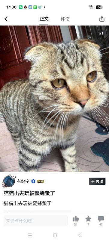 我还以为嚼大果了😅#猫猫