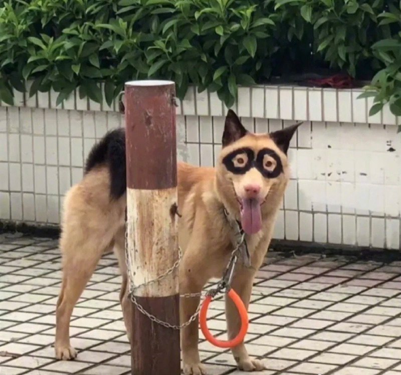 ？？？？？？