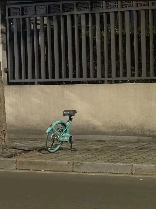 谁家小袋鼠😑