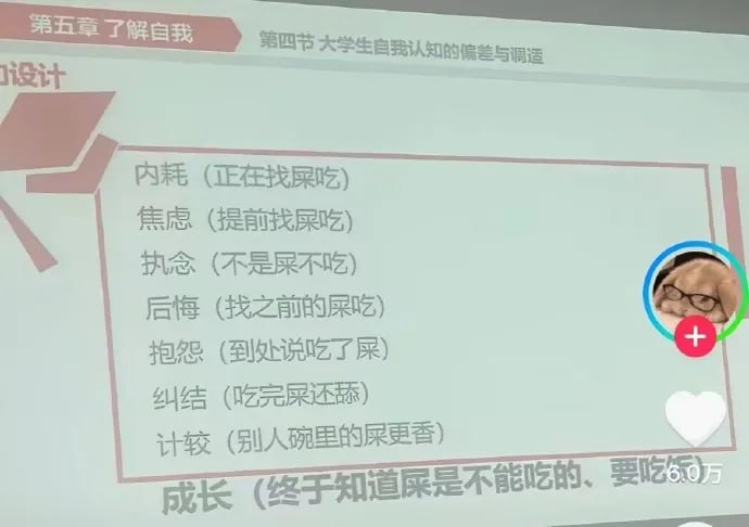 大师我悟了