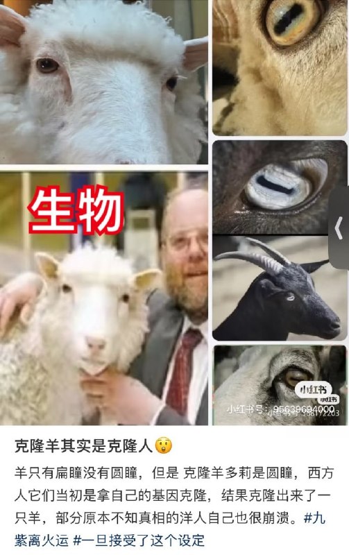 群贤毕至群贤毕至