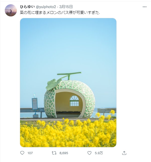 岛国长崎县谏早市平原公交站，外形是甜瓜站，恰逢油菜花盛开时